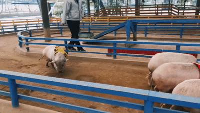 日本十大顶级宝库,日本隐藏的宝藏