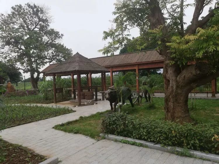 肇庆砚洲岛游记,肇庆自驾一日游砚洲岛