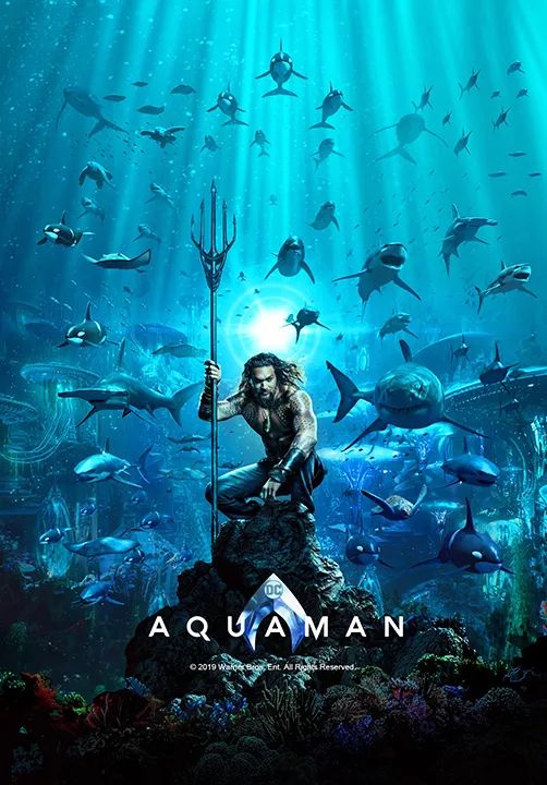 飞机上各种你不知道的秘密,飞机上有哪些不为人知道的秘密