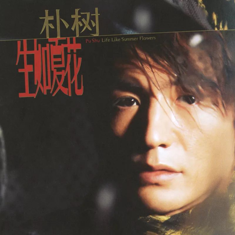 为什么朴树这么火,为什么朴树弹吉他左手不动