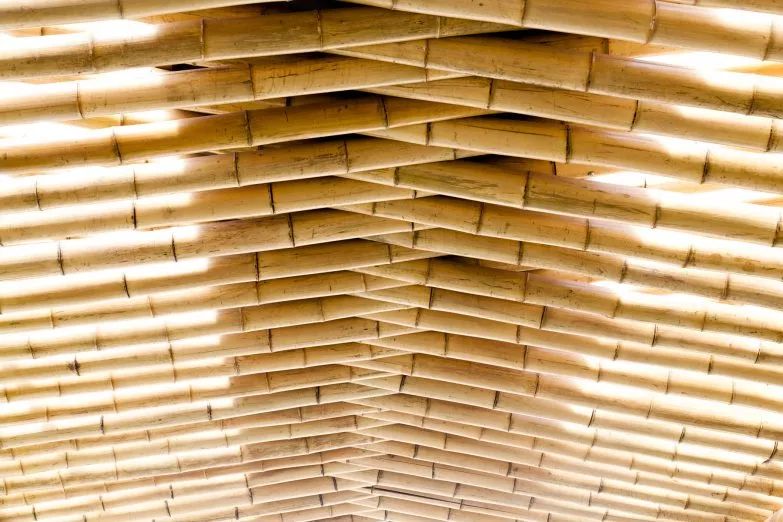 苏明哲们的美国生活,苏明哲们的美利坚