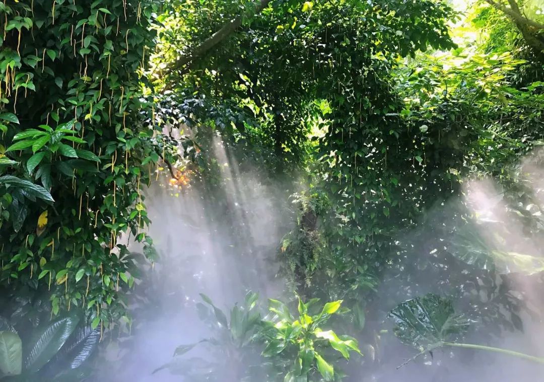 厦门湖里有什么好玩的地方吗,厦门有什么好吃的好玩的地方