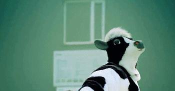 有机奶和舒化奶区别,舒化奶和有机奶的区别