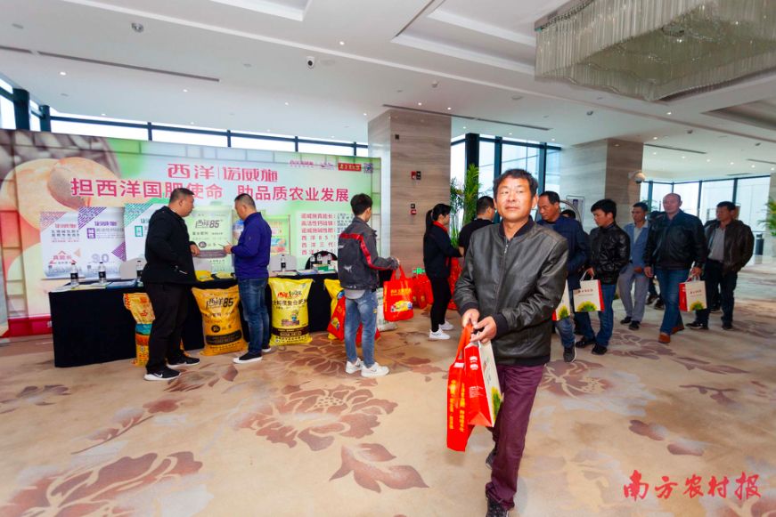 黄桃病虫害的图片及防治方法,黄桃无公害优质丰产栽培管理技术