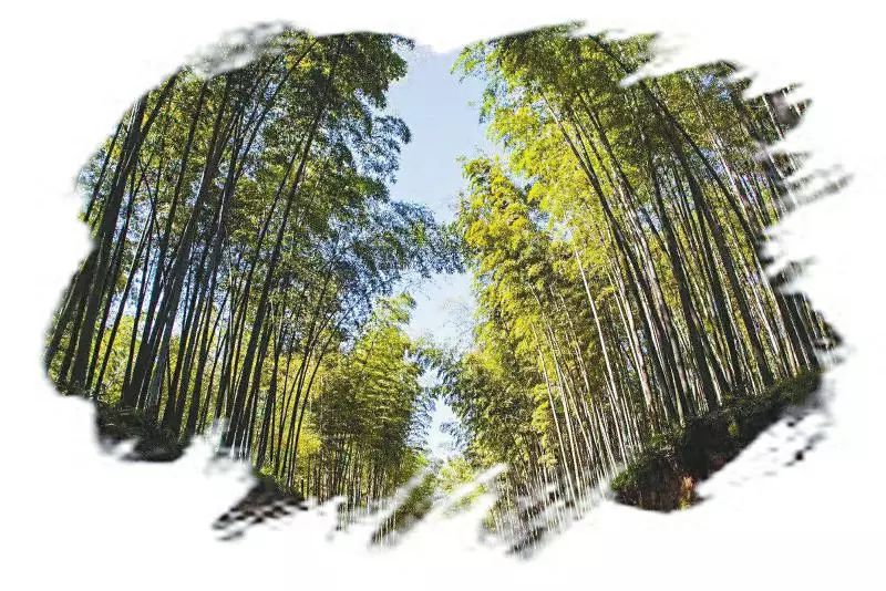 桃坪羌寨好玩还是甘堡藏寨好玩,毕棚沟五一免门票吗