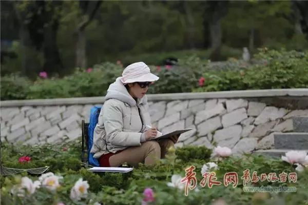 闈掑矝缁濈編鐎戝竷,闈掑矝绱壊鐎戝竷