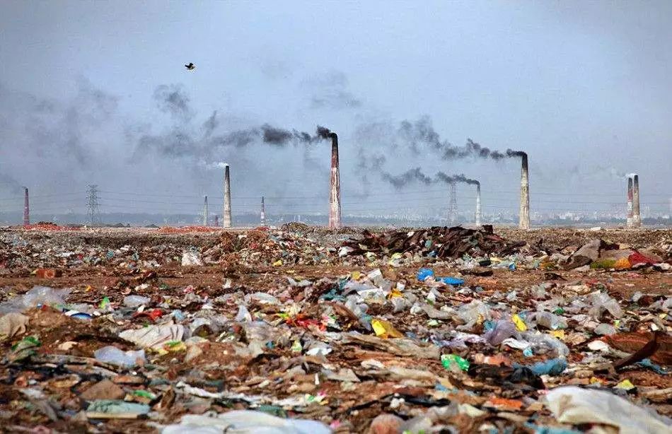 公安机关零容忍打击违法犯罪,严打食药环犯罪