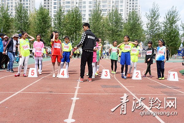 激情赛场展现青春风采,激情现活力赛场展风采