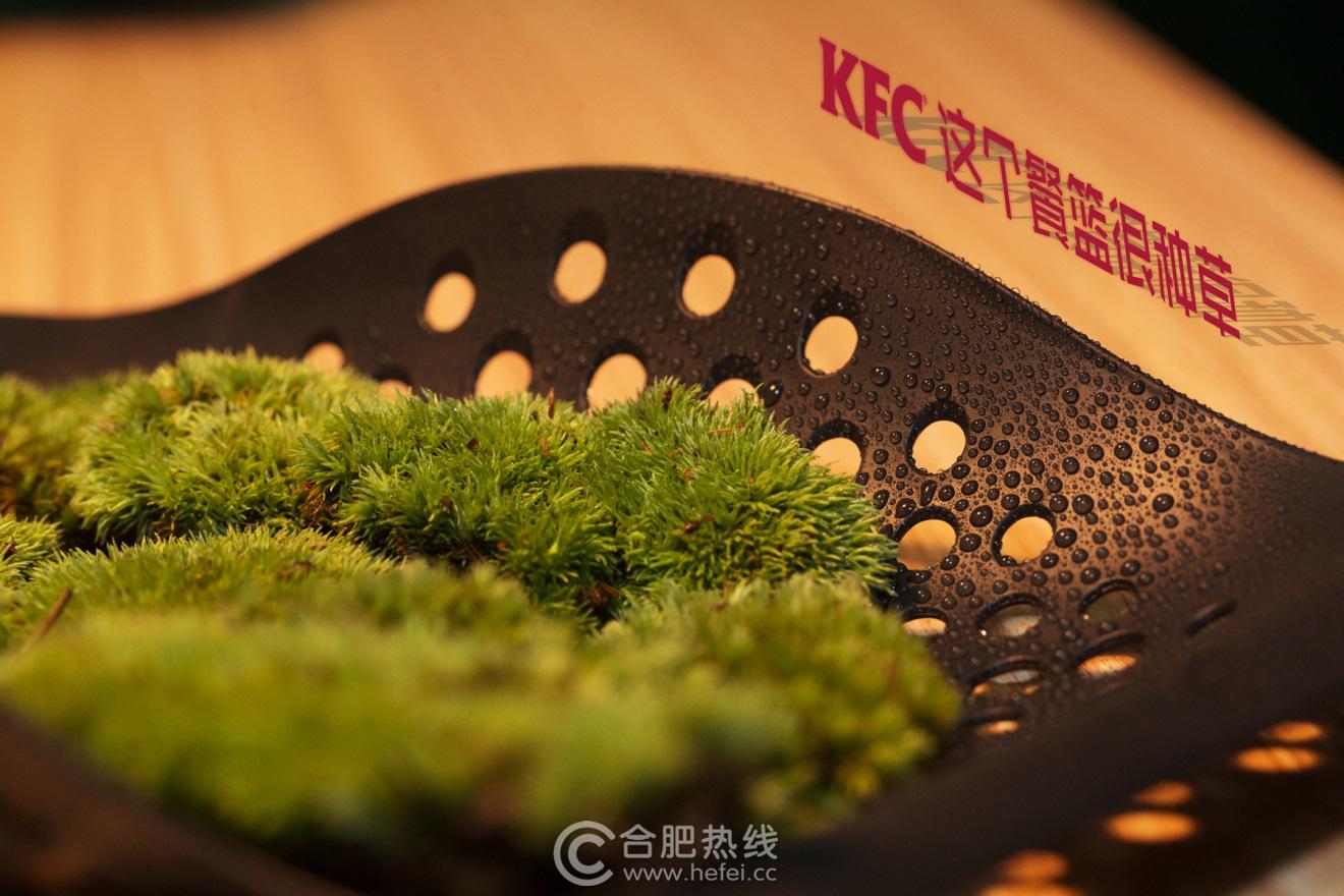 这个餐篮很种草——合肥肯德基邀您打卡种草，“合”您一起环保