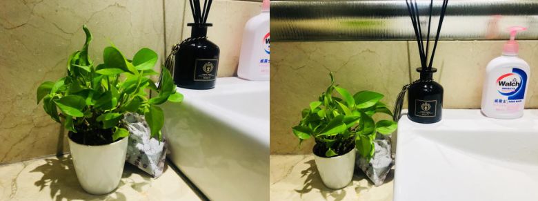 甲醛是无孔不入的吗,无孔不入的甲醛