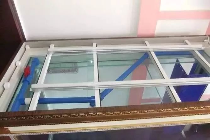 1.5米生态缸的用料及造景,1.2米的缸适合做什么缸