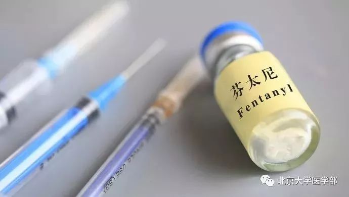 禁毒的危害知识摘抄,禁毒知识毒品的危害文字