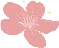 养生堂3分钟查出3种癌完整视频,养生堂三分钟检查肠癌全部视频