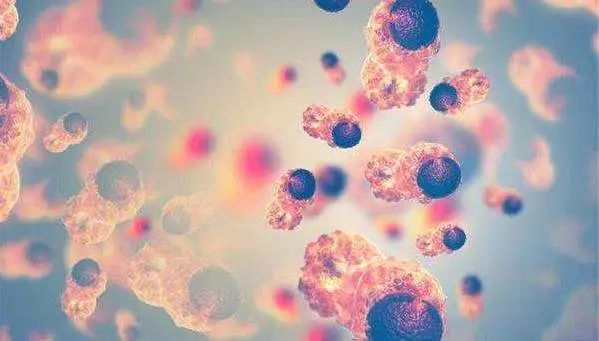 抽一管血就能查出癌症的体检项目，真的这么神吗？