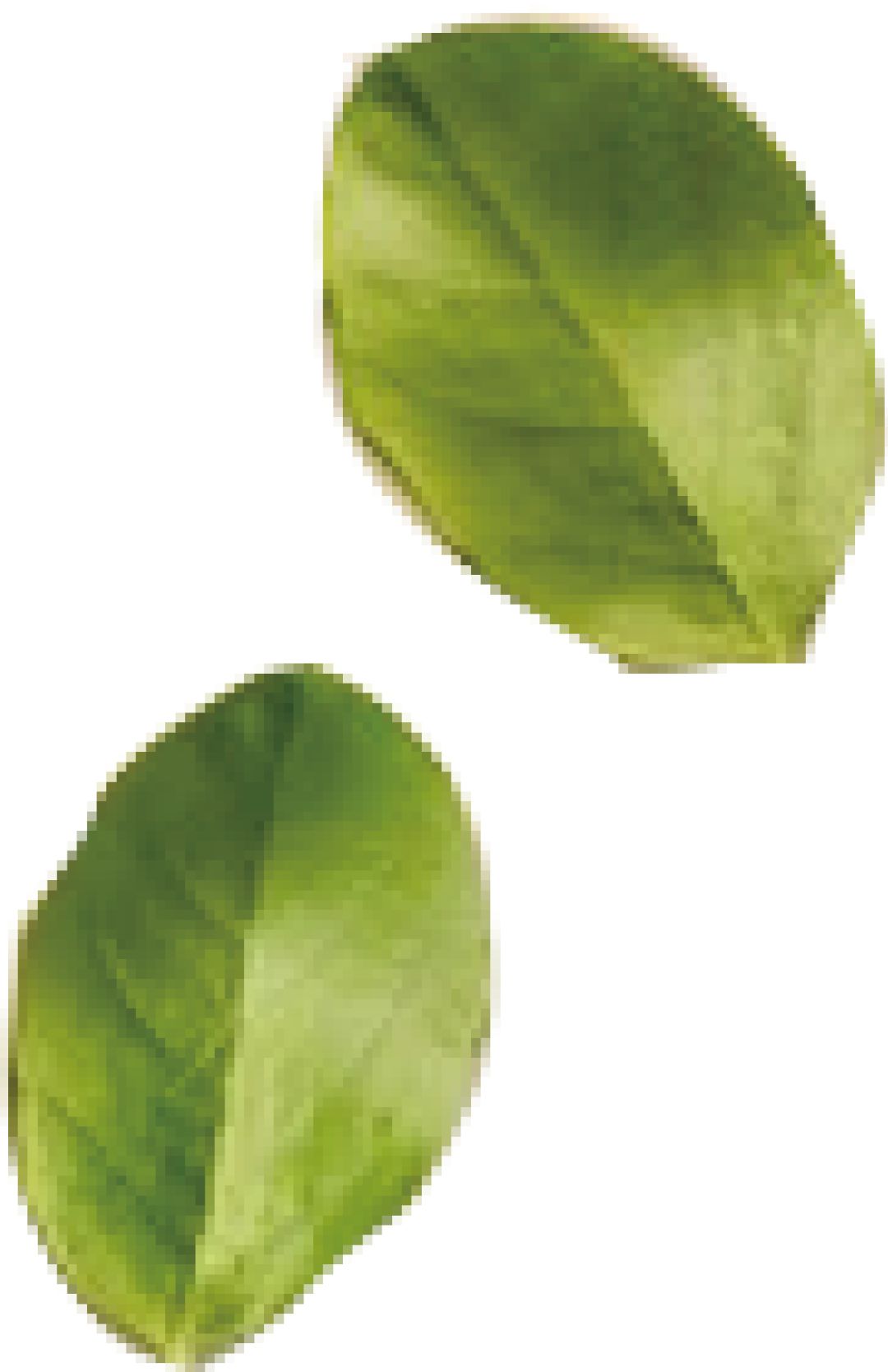 官宣荷兰,荷兰鹿特丹和阿姆斯特丹亚欧专列