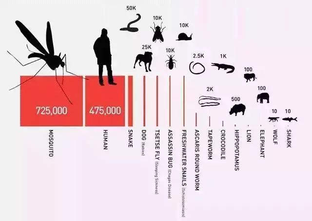日本顶级灭蚊神器,日本变态灭蚊神器