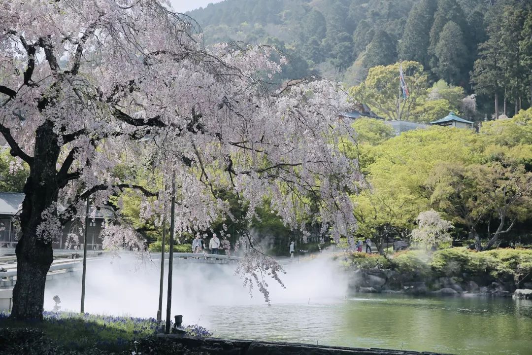 大阪|你错过了这座带仙气儿的寺庙,以及跳蚤市场和潮牌一条街…