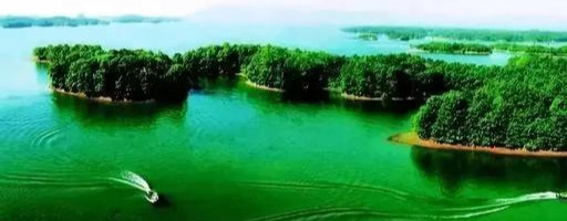 信阳值得去的景点推荐一下,信阳南湾湖能游吗