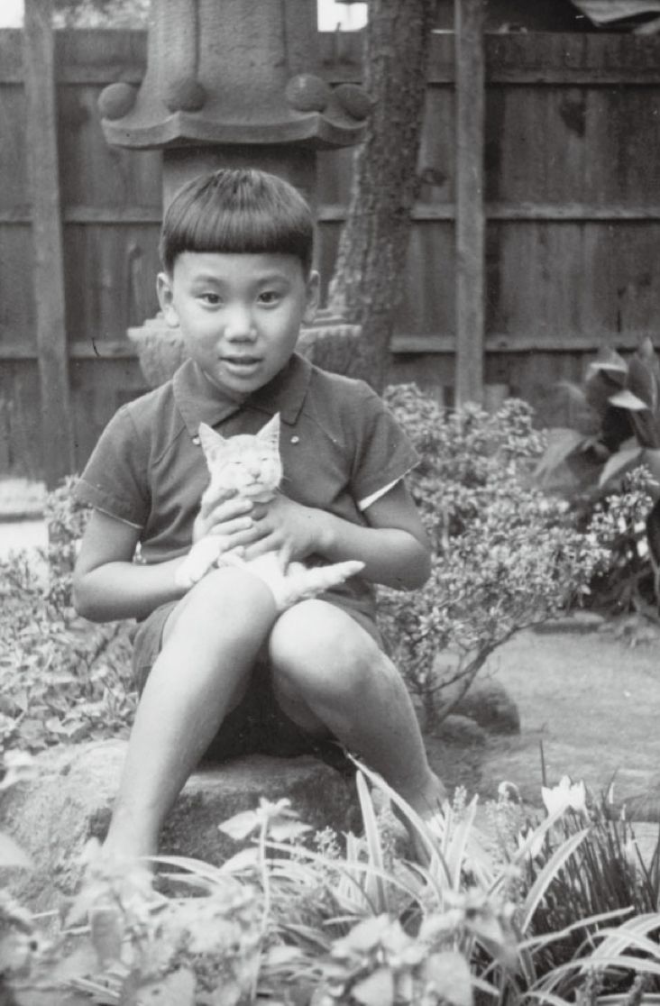 村上春树拒绝生育是真的吗,村上春树拒绝吃中国菜