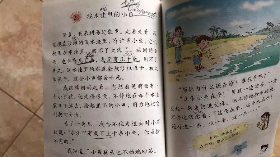 哈佛思维课全集书籍,2-3岁儿童全脑思维拓展训练书