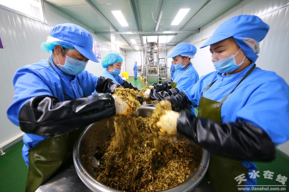 甘肃武山苦苣酸菜浆水出售,武山酸菜销售