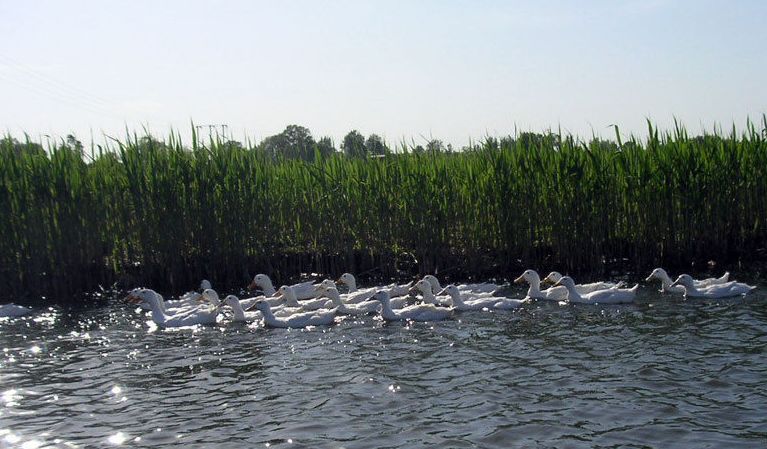 一起走吧粤语歌曲,一起走吧背起行囊