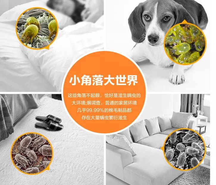 鼻尖挤出白色的是什么,鼻子上挤出的白丝怎么解决