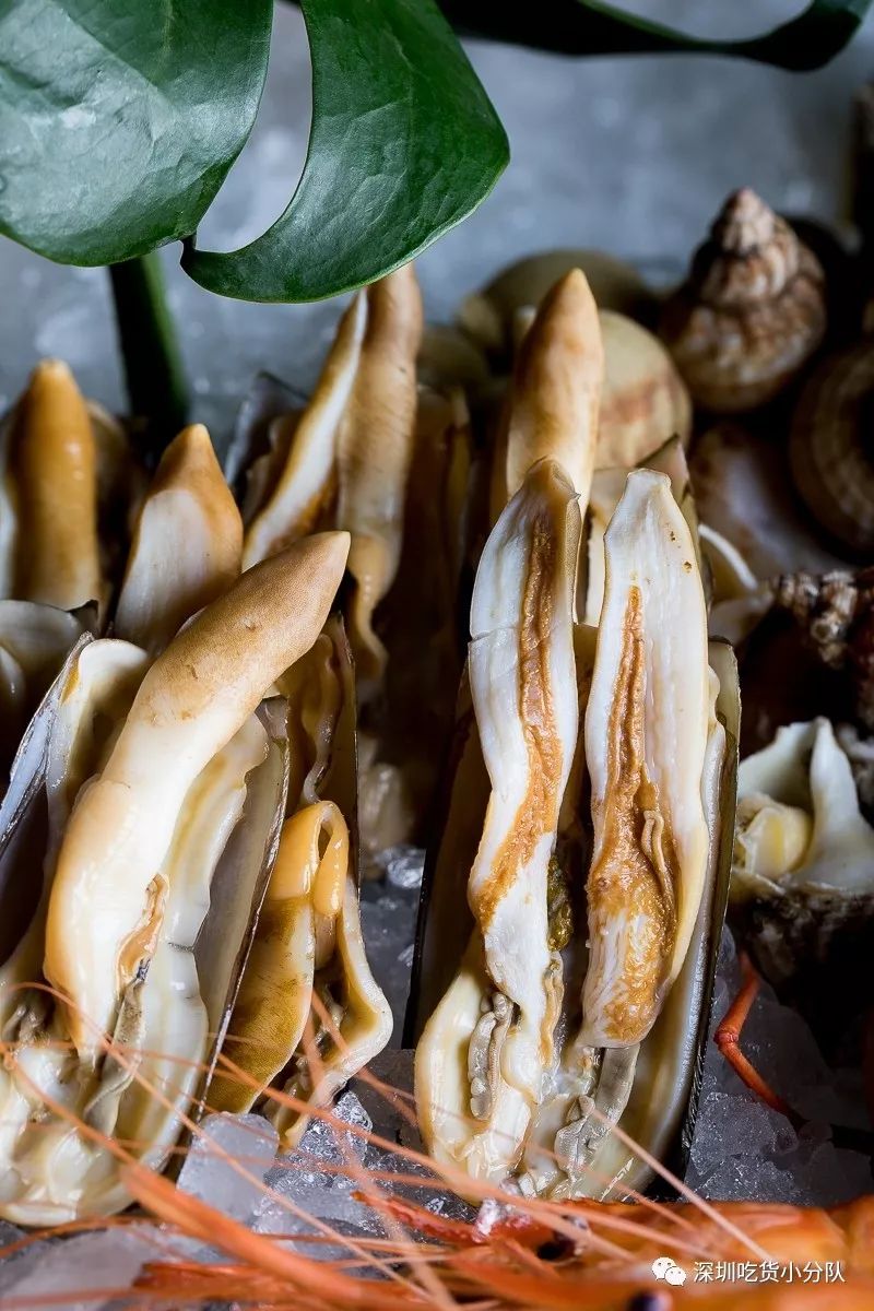 大中华喜来登酒店自助餐直播,大中华喜来登23楼自助餐团购