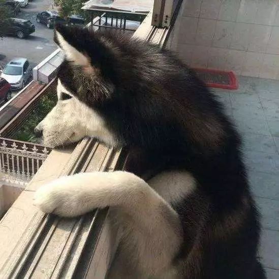 把我设置成不可见了是什么心态,为什么有人把朋友圈设成三天可见