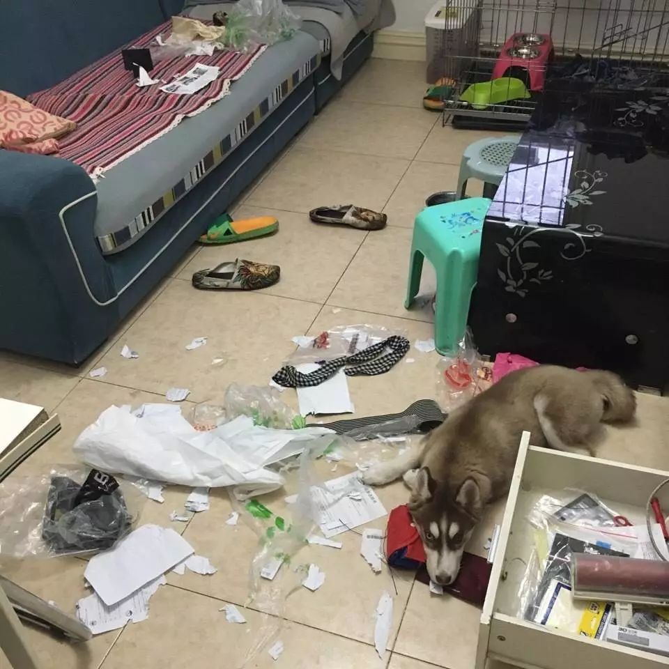 把我设置成不可见了是什么心态,为什么有人把朋友圈设成三天可见