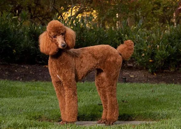 朋友圈设成三天可见代表着什么,有时候把朋友圈设成三天可见