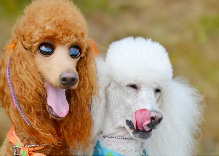 为什么有人把朋友圈设成三天可见,微信怎样把一个人设成三天可见