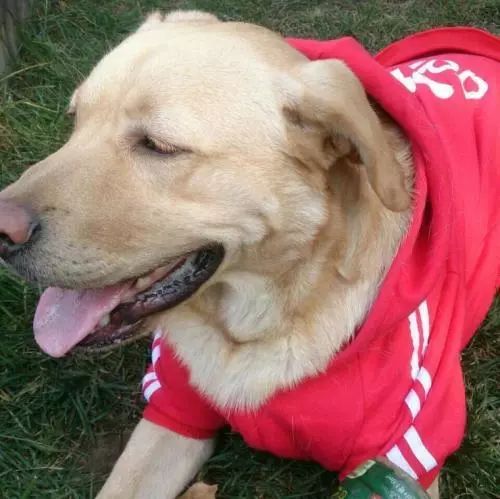 朋友圈设成三天可见代表着什么,有时候把朋友圈设成三天可见