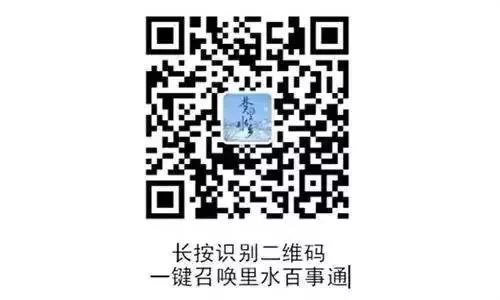 靓！家门口就是花园，里水“她”力量掀起文明新风尚｜“创文”在行动