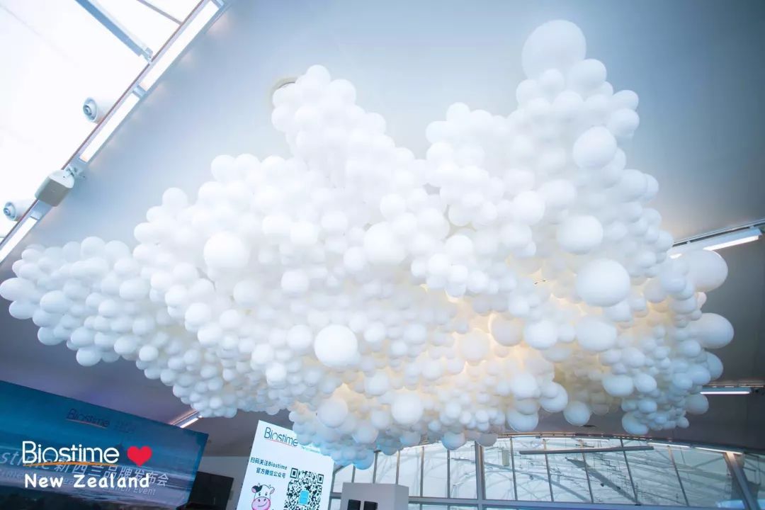 新西兰到底有多好,新西兰最新的好消息