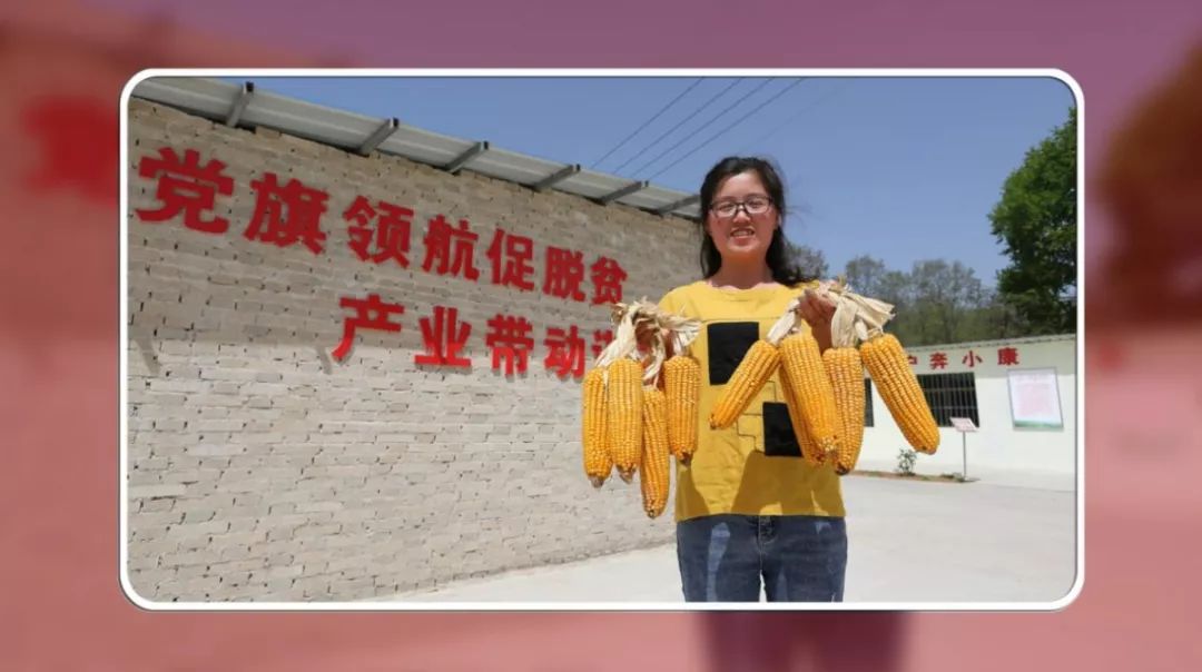 十大杰出青春榜样,铜川市十大杰出青年公示
