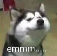 黑科技榨汁机是骗局吗,史上最骗人的榨汁机