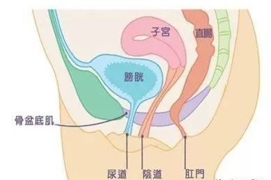 产后ella自曝后遗症,ella自曝产后