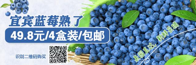 家长注意中小学入学网上报名启动,宜宾学生家长注意事项