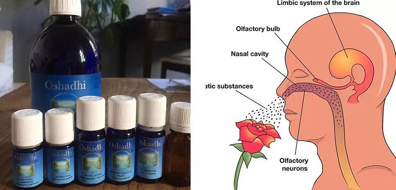 全网黑转粉，看曾经土肥圆如何逆袭碾压一种超模