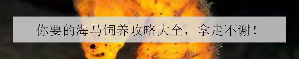 海缸害怕阳光照射吗,海缸如何压制褐藻