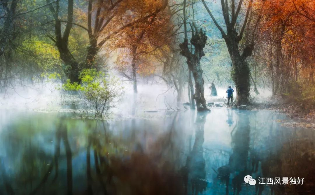 519中国旅游免费景区,519旅游日免费旅游景点有哪些