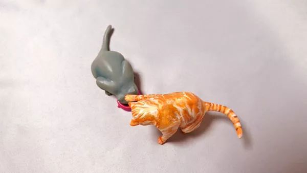 日本“手工鬼才”捏的小动物模型，比表情包还沙雕