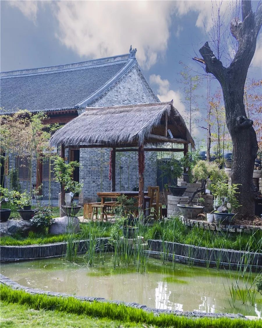 院中园,园中园农家饭庄