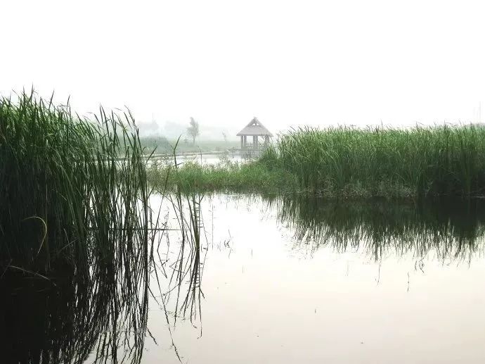 玩转大连森林公园,逛遍大连森林公园