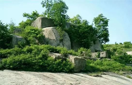 玩转大连森林公园,逛遍大连森林公园