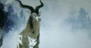 青少年看日本动漫好吗,日本动漫对中国青少年的影响