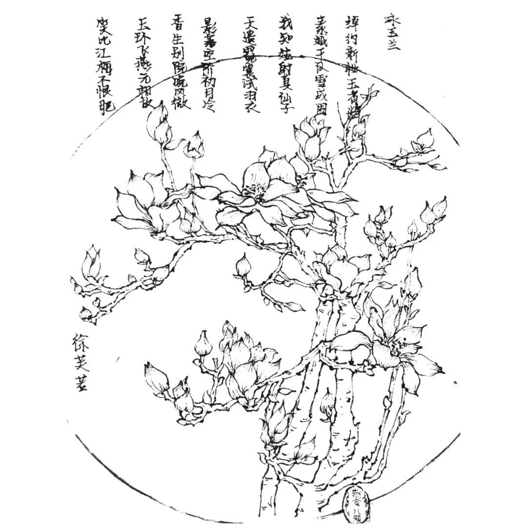 穿越！我眼中的TA，是这样的……