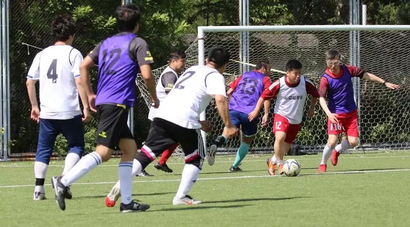 北京101中著名校友,北京101中校友