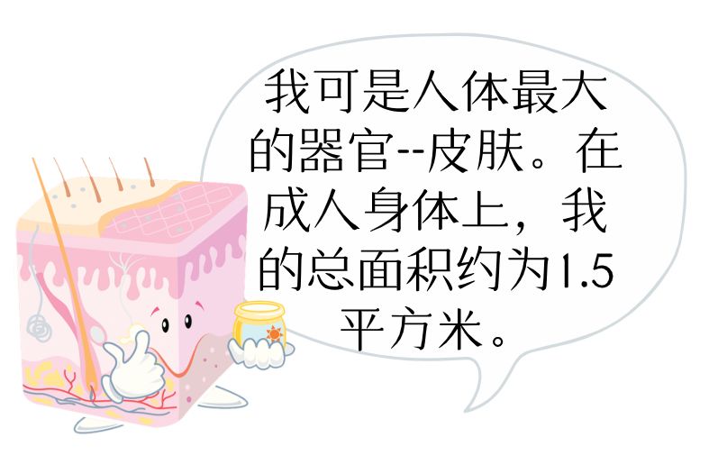 皮肤病医生义诊可以问什么,皮肤专家义诊